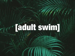 adult-swim_3