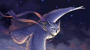 Anime Owl