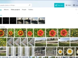Photo Viewer Apps For Windows